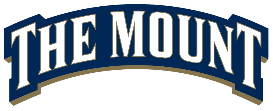 Mount St. Marys Mountaineers 2016-Pres Wordmark Logo v2 iron on transfers for clothing